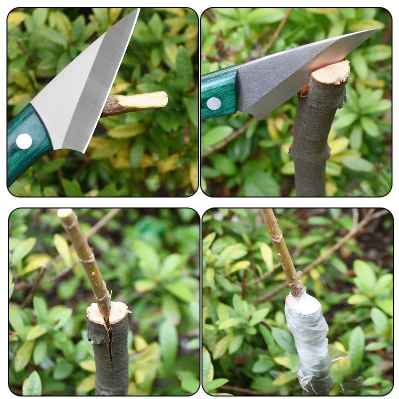 Harvest Knife Garden - Нож для прививки из нержавеющей стали