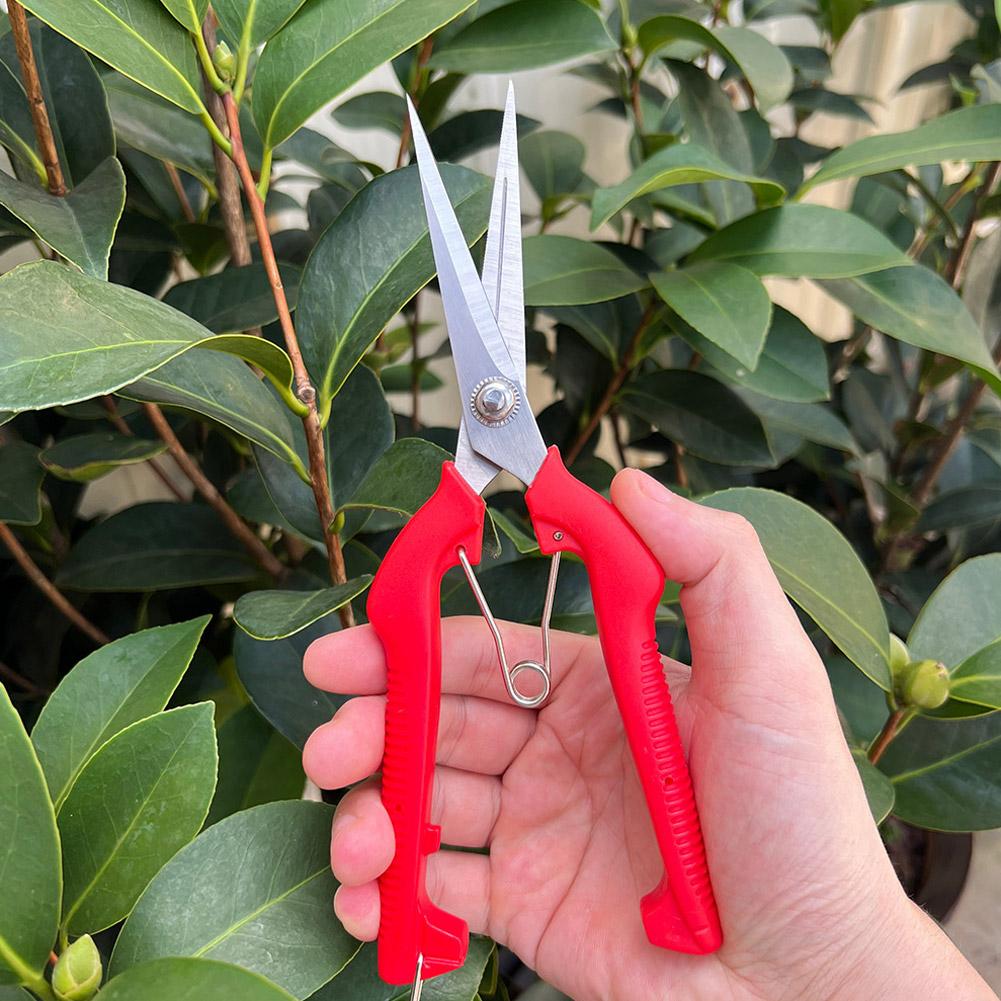 Gardening Tools Wholesale - Профессиональные садовые секаторы Pro Garden: удлиненные