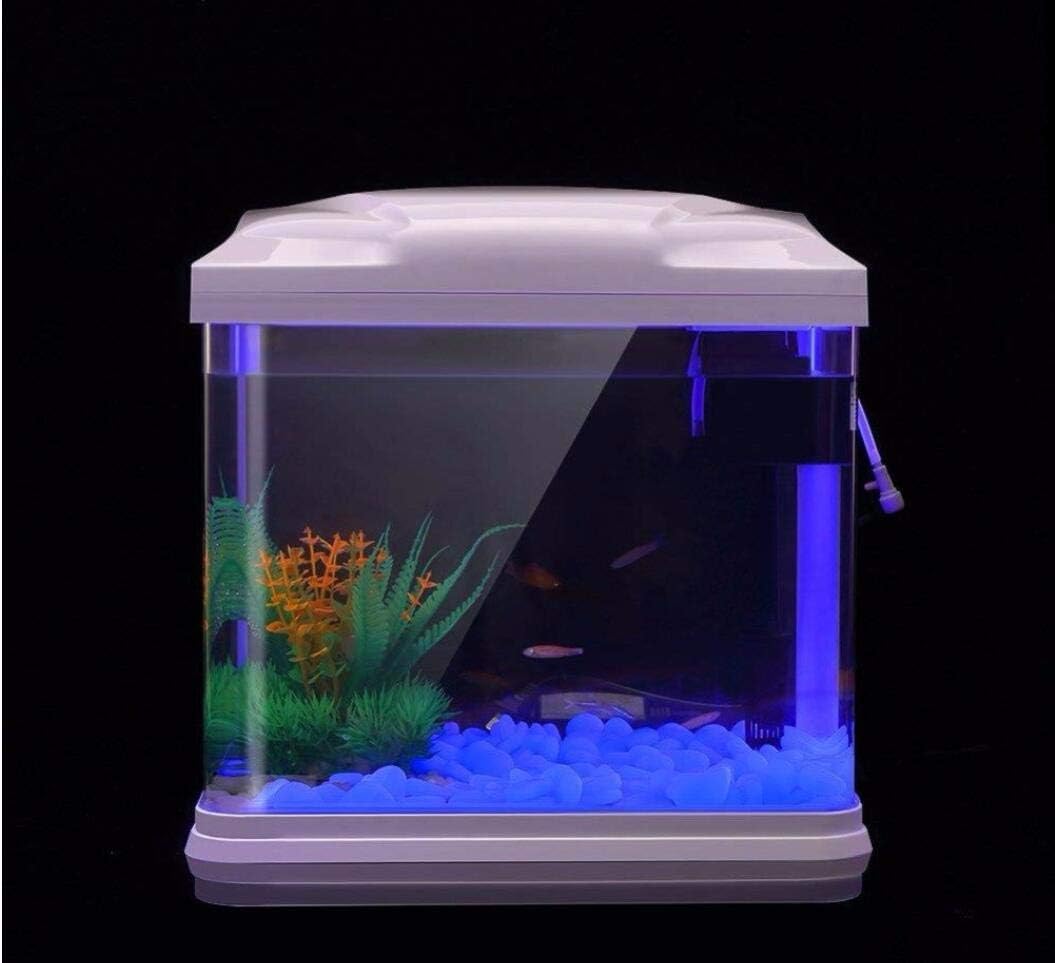Скели для аквариума, светящиес – обзор и цена Aquaponics Fish Tank