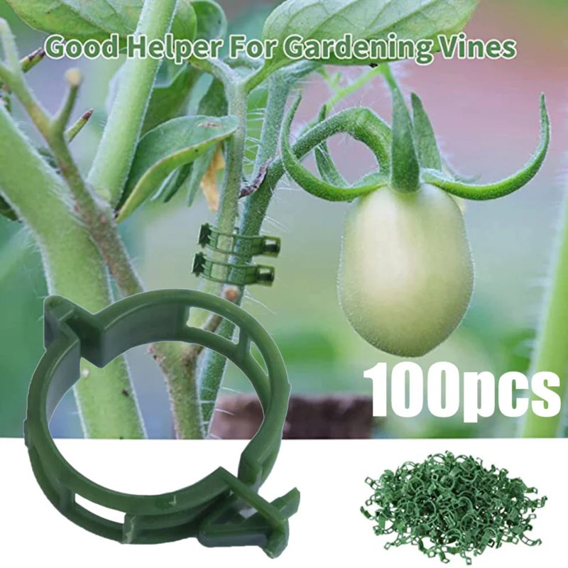 100 шт./зажим для поддержки ра – обзор и цена Gardening Tools Usa