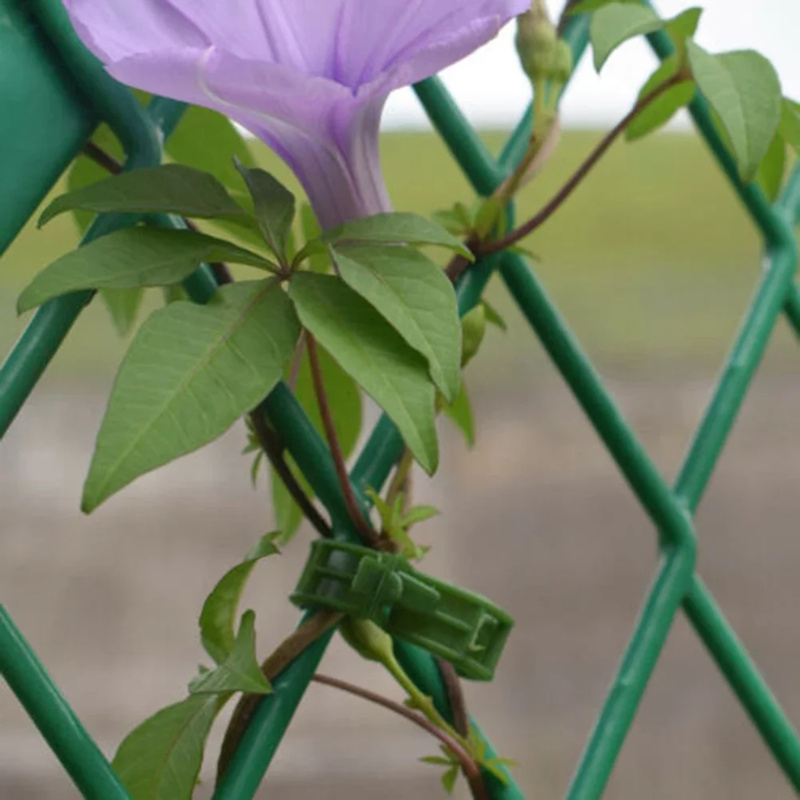 100 шт./зажим для поддержки ра – обзор и цена Gardening Tools Usa