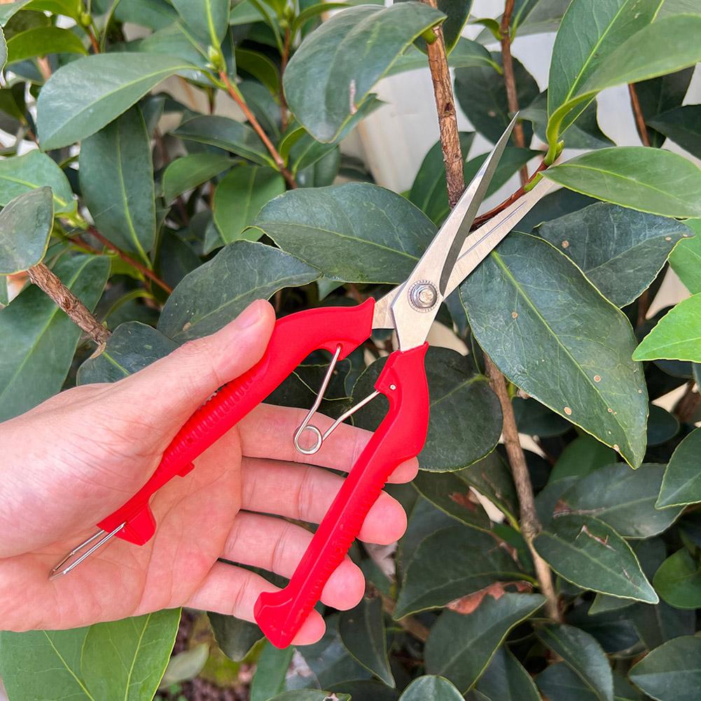 Профессиональные садовые секат – обзор и цена Gardening Tools Wholesale